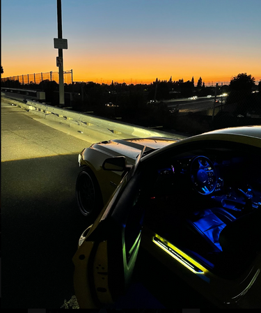 AutoPrimez - LED Door Sills Pro